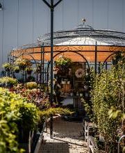 Raiffeisen Münster LAND eG, Raiffeisen-Markt Greven Bild 20