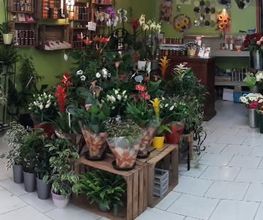 Le Jardin de Stelly image 10