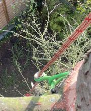 WhatsApp Bild 2023-12-20 um 22.46.44_ab84de65.jpg