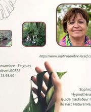 Sophrosambre image 8