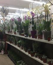 Bricorama Pantin image 1