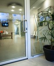 Gallery Professionale
