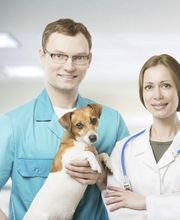 Serveis Veterinaris Esparreguera imagen 3