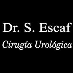 drescaf_logo.jpg