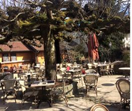 Café Brunet image 8