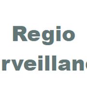 Regio Surveillance image 1