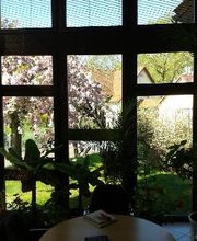 Sabine Müller Bild 4