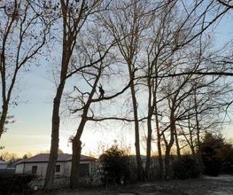AC Paysage 63 image 9