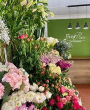 Fior Fleurs image 11