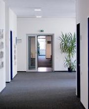 Ein Bild vom hellen Flur mit Blick auf eine Glastüre und Zimmerpflanze.