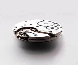 LANDERON SWISS MOVEMENTS GmbH Bild 6