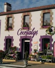 Cocotalys Maître Artisan Fleuriste image 6