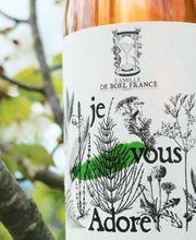 Famille De Boel France image 2