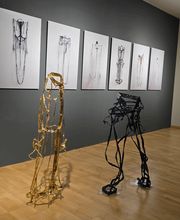 DG Studio GmbH Bild 12