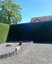 No Limit Gartengestaltung Bild 7