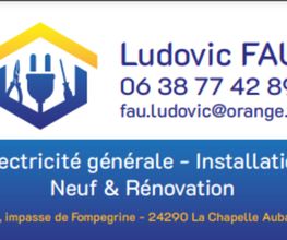 Fau Ludovic EI image 3