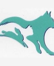 Clinique Vétérinaire Arcadia image 13