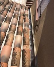 Lenoir Steeve image 6