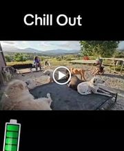 La Huella Azul S.L. imagen 4