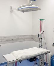 Medivet Tierarztpraxis Bild 2