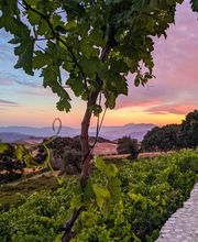 Hotel Fuente del Sol imagen 7