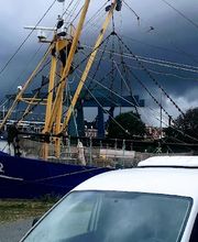 Fischmarkt Husum am Kutterhafen Bild 1