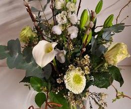 Floria Blumen Bild 6