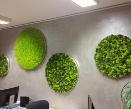 Franzen Moos Wanddesign Bild 17