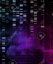 PCR-Labor-Services GbR Bild 4