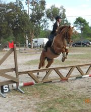 Ranch Villata image 7