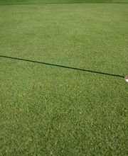 Golf de Pra Roman Bild 7