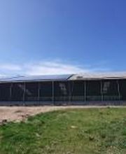 Halle mit Solaranlage, Schwabenglanz, 88605 Meßkirch