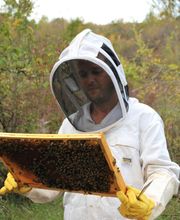 L'Abeille des Sources image 4