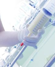 Thalmann Stamm Sabine image 9