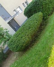 Ch-Clean - Gebäudereinigung & Objektservice Bild 16