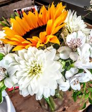 Pougary Marie image 5