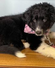 Catherine Burns Insurance Services image 7