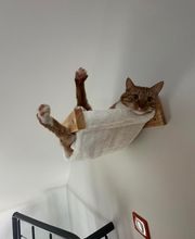 Le CHATel hôtel image 9