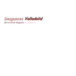 logo desguaces valladolid.png