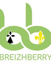 OMGA BREIZHBERRY image 2