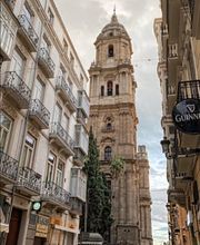 Olivo Homes imagen 2