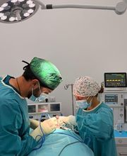 1abb108a-1205-49ed-a9a4-c5206abb9d78.jpg