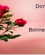 Le Moulin Du Bien-Etre image 17