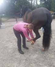 Nicola Annaberger, Pferdeosteopathie Oberland, Pferdephysiotherapie Oberbayern, Pferdeosteopathie Oberbayern, Osteo Pferd Bild 13