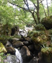 Les Maisons de Concasty, gîtes image 18