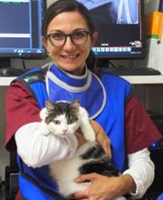 Gross- und Kleintierpraxis Geiser Biglen