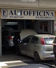 Gallery Cliente