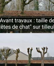 Les Jardins D'Actéon image 13