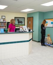 Animal Care Hospital of Morris Inc image 6