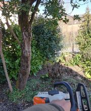 Bouche Nicolas image 12